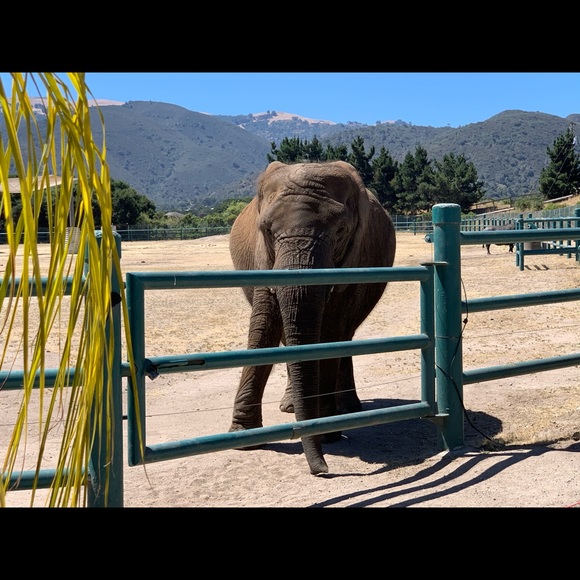 Welcome ❤️ Bookmark My Closet - Picture 11 of 16